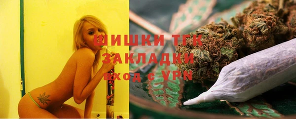 ГАЛЛЮЦИНОГЕННЫЕ ГРИБЫ Михайлов