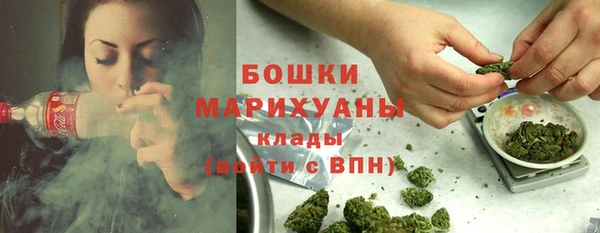 ПСИЛОЦИБИНОВЫЕ ГРИБЫ Михайловск