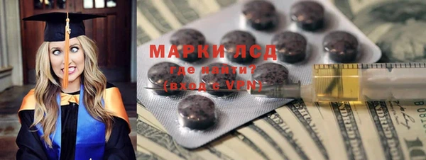 ГАЛЛЮЦИНОГЕННЫЕ ГРИБЫ Михайлов