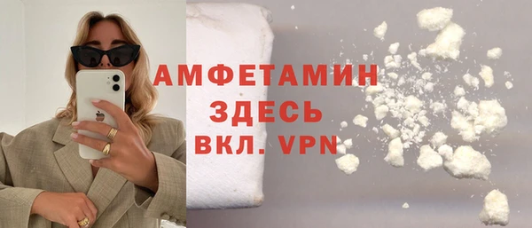 ГАЛЛЮЦИНОГЕННЫЕ ГРИБЫ Михайлов