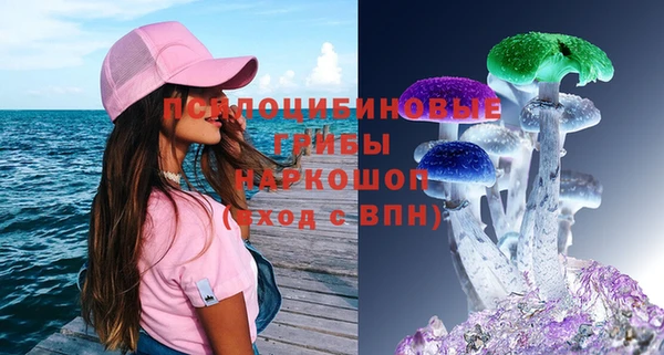 ПСИЛОЦИБИНОВЫЕ ГРИБЫ Михайловск