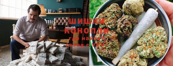 ГАЛЛЮЦИНОГЕННЫЕ ГРИБЫ Михайлов