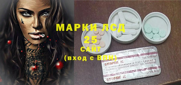 ПСИЛОЦИБИНОВЫЕ ГРИБЫ Михайловск