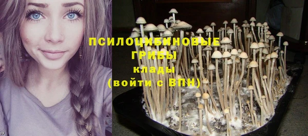 ПСИЛОЦИБИНОВЫЕ ГРИБЫ Михайловск