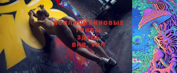 ГАЛЛЮЦИНОГЕННЫЕ ГРИБЫ Михайлов