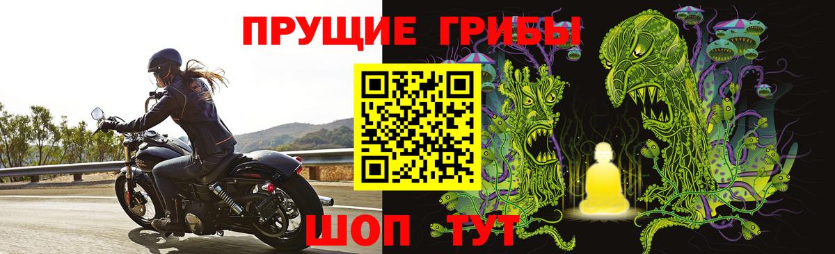 Псилоцибиновые грибы Psilocybe Муравленко