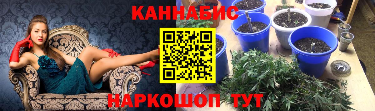Муравленко  Канабис AK-47  Каннабис тримм  Вход с VPN  Каннабис Bruce Banner 